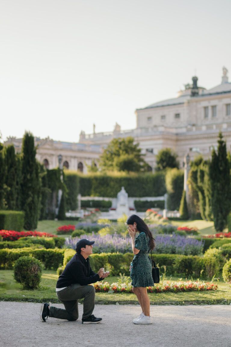 SURPRISE PROPOSAL VIENNA